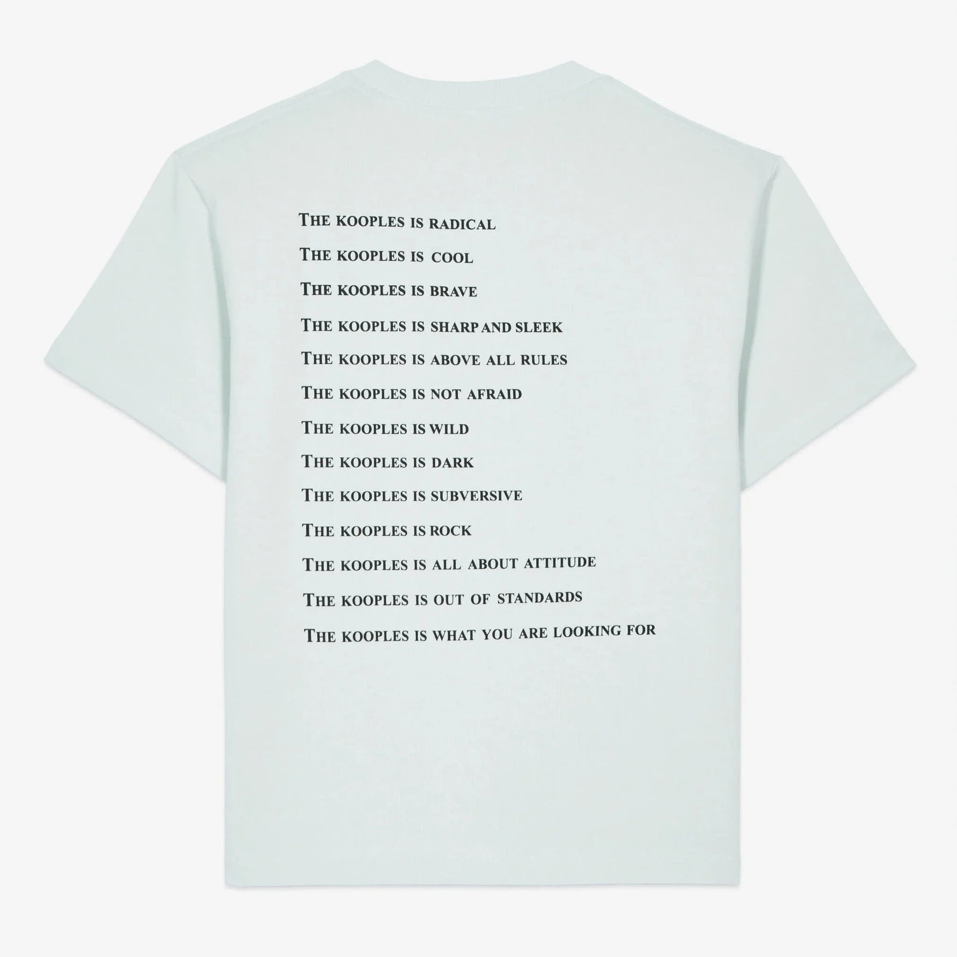 T-SHIRT WHAT IS BLEU CLAIR